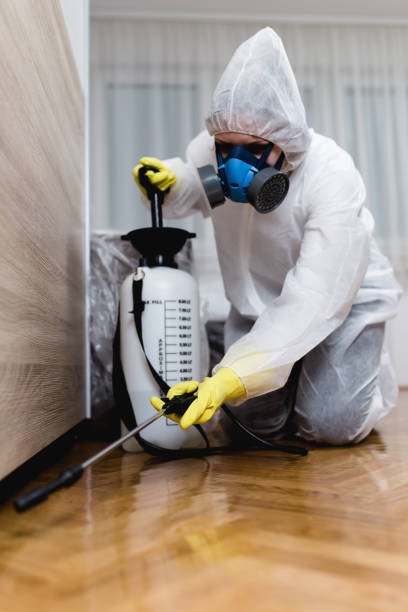 Best Residential Pest Control  in Poway, CA